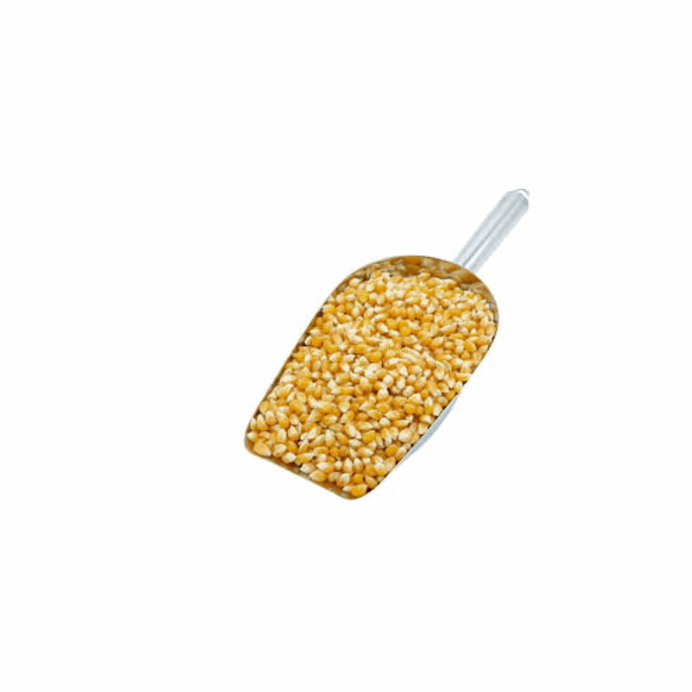 فشار فشار10ك