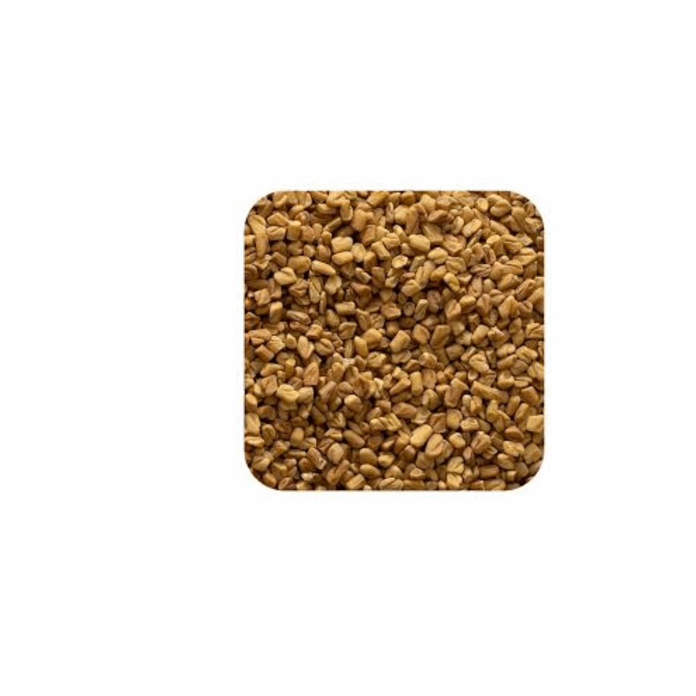 حلبة حلبة 10ك