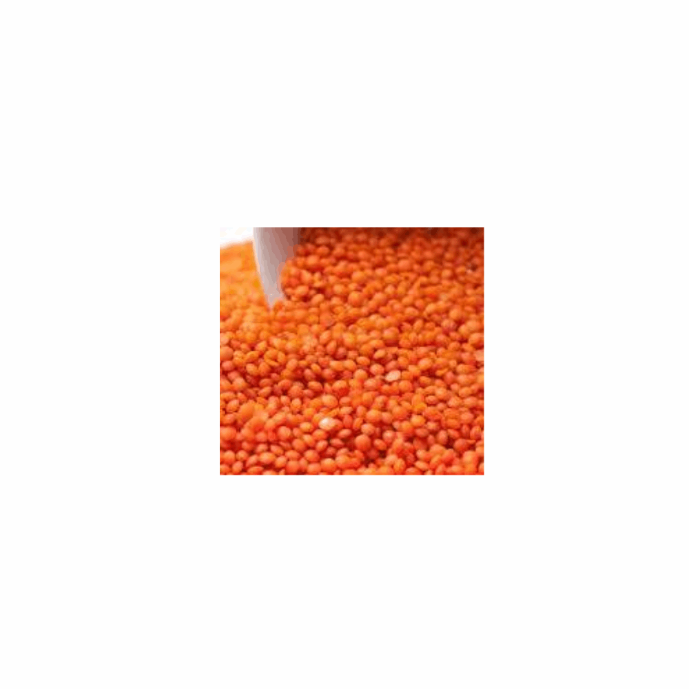 عدس عدس اصفر الكيال